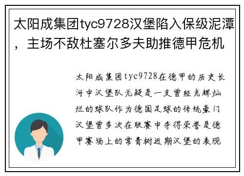 太阳成集团tyc9728汉堡陷入保级泥潭，主场不敌杜塞尔多夫助推德甲危机 - 副本